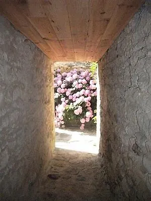 Oda ve Kahvaltı D'hotes Chez Denis Et Margot